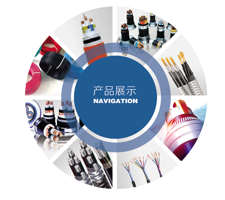 喜报！园区这些企业，上榜百强！(图10)