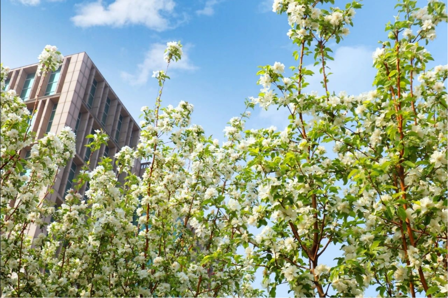 看，婷婷伊人五月天色综合激情网_欧美—区二区在线观看_韩国禁欲系高级感电影_九九影院在线观看免费最新电视剧_无人区高清电影免费观看.......“春色满园”！(图12)