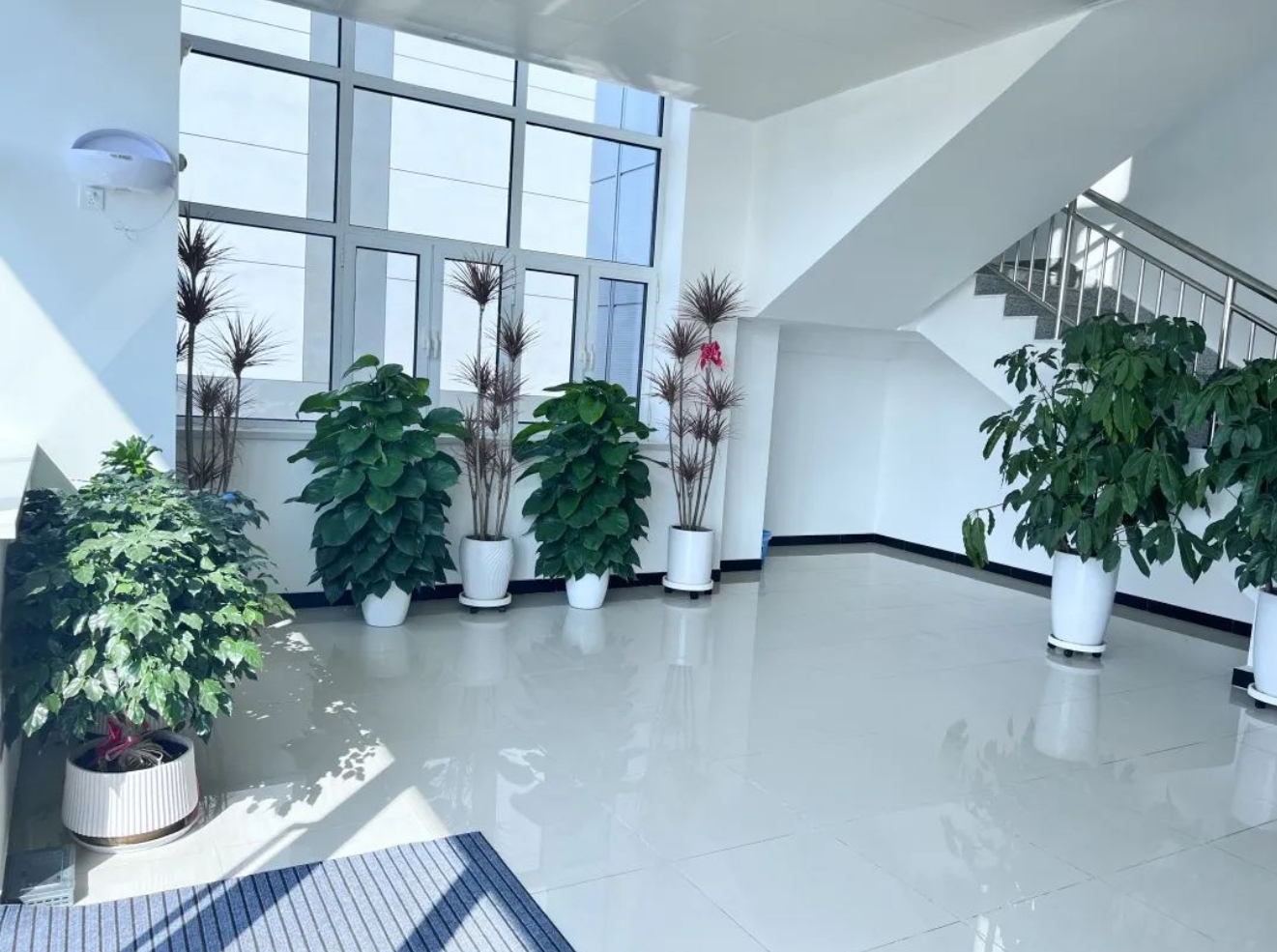 武汉风味“老品牌”进武清，来尝！(图7)