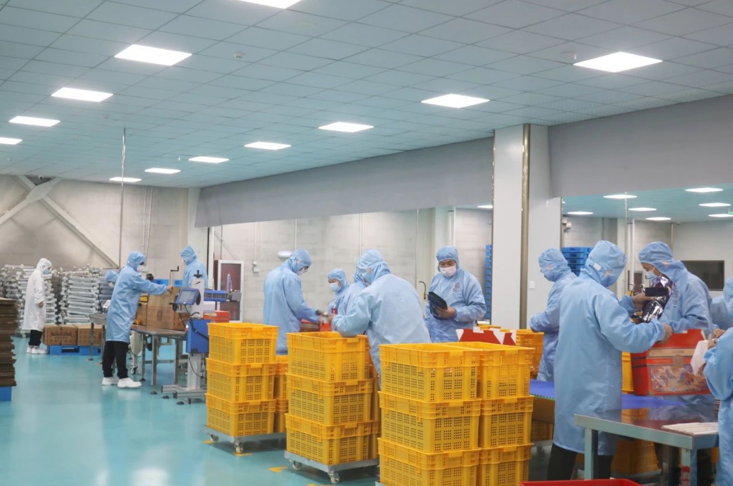 年产值1.5亿元！集味轩盛大开业！(图4)