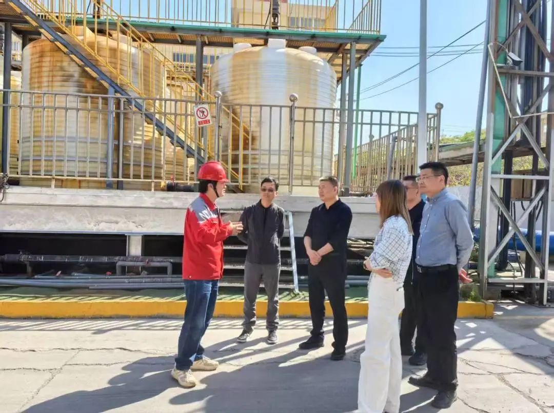 婷婷伊人五月天色综合激情网_欧美—区二区在线观看_韩国禁欲系高级感电影_九九影院在线观看免费最新电视剧_无人区高清电影免费观看.......南下精准招商 聚力高质量发展新突破(图2)